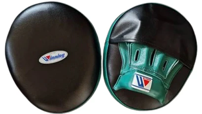 Winning Punching Mitts